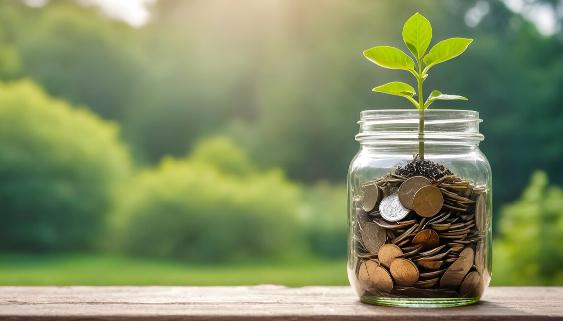 10 simple ways to make mental fitness coaching possible — even on a tight budget.