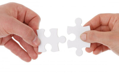 The Art of Persuasion: A Simple Guide to True Family Collaboration